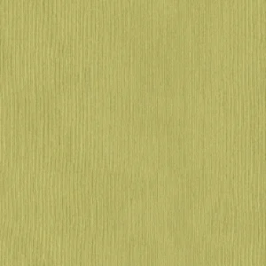 Avocado*122-2092
