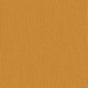 Squash*122-2093