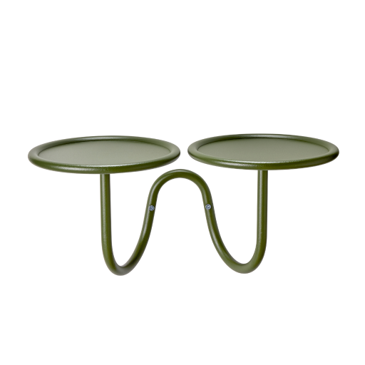 scab-mimosa-2955-01